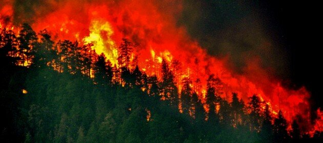 Wildfire: recycled sunlight or fuel for climate change? Wildfire: recycled sunlight or fuel for climate change?