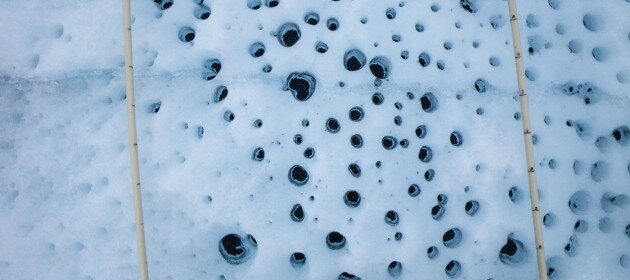Microbes on ice: Climate amplifiers? Microbes on ice: Climate amplifiers?