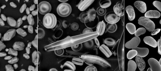 Oxygen isotopes and lakes Oxygen isotopes and lakes