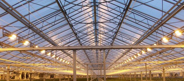 The greenhouse effect and its role in the Earth’s climate The greenhouse effect and its role in the Earth’s climate