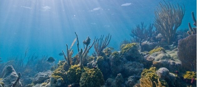 Oceans and climate change: Key facts Oceans and climate change: Key facts